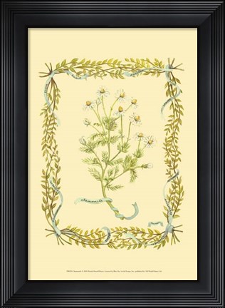 Framed Chamomile Print