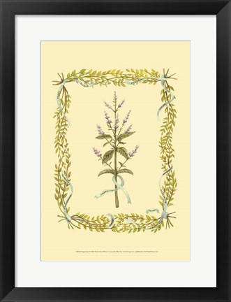 Framed Peppermint Print