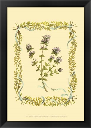 Framed Thyme Print
