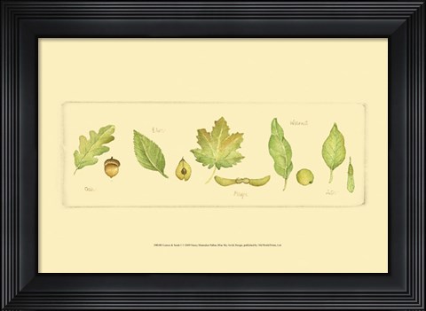 Framed Leaves &amp; Seeds I Print