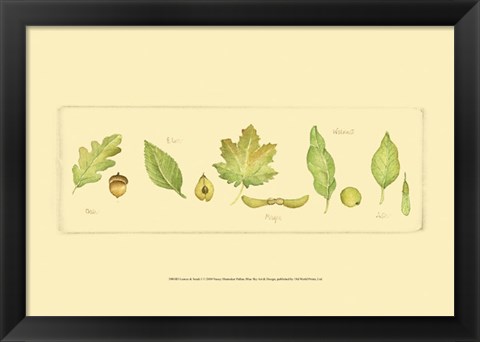 Framed Leaves &amp; Seeds I Print