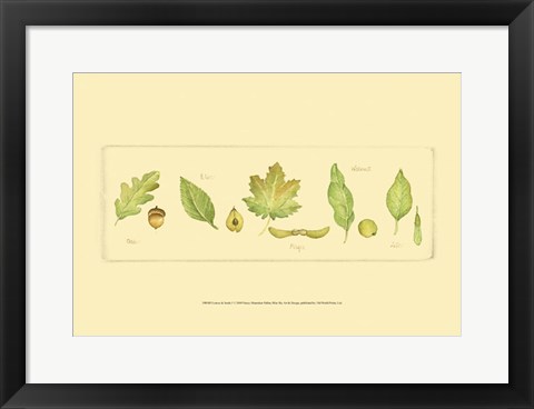 Framed Leaves &amp; Seeds I Print