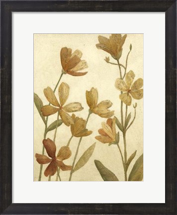 Framed Small Wildflower Field II Print