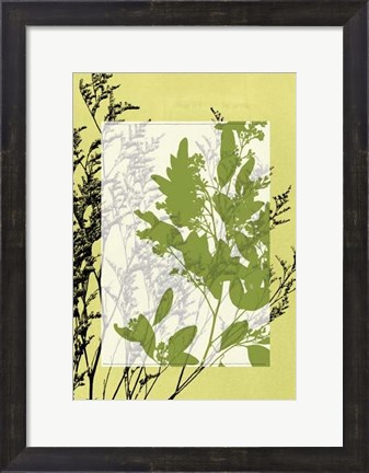 Framed Sm Translucent Wildflowers IV Print