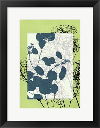 Framed Sm Translucent Wildflowers VII Print