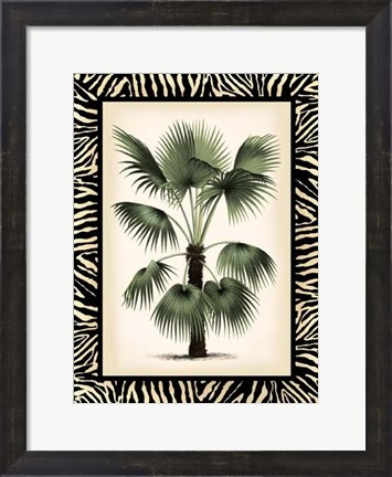 Framed Small Palm in Zebra Border II Print