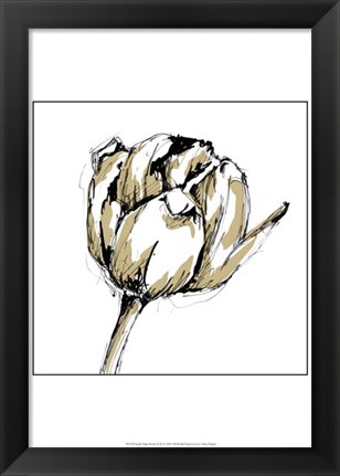 Framed Small Tulip Sketch II Print