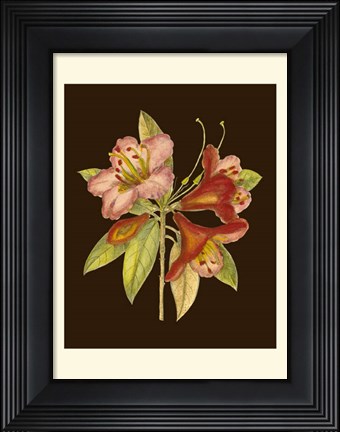 Framed Crimson Blooms I Print