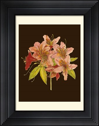 Framed Crimson Blooms II Print
