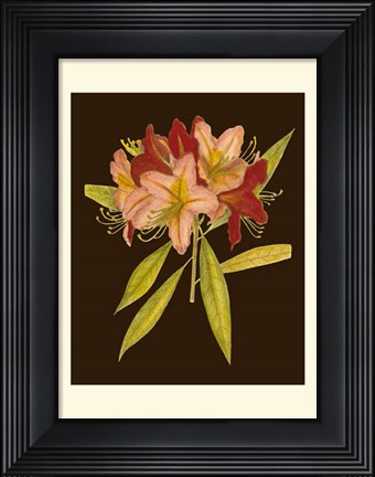 Framed Crimson Blooms III Print
