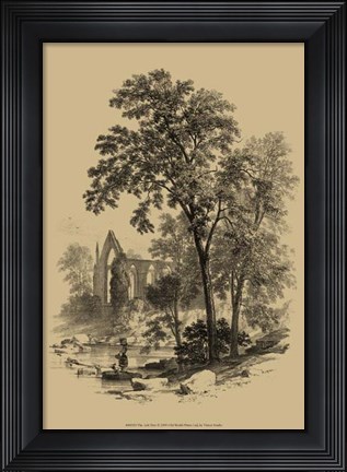 Framed Ash Tree Print