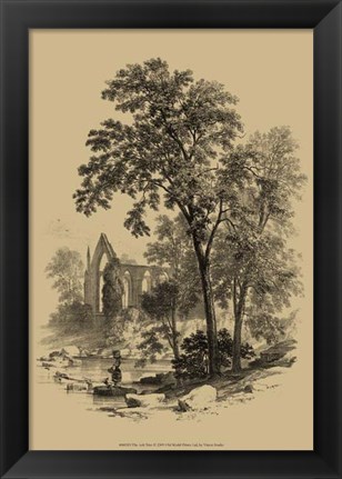Framed Ash Tree Print