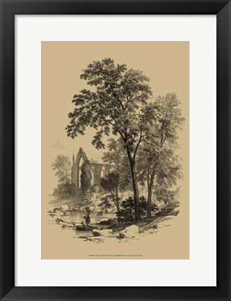 Framed Ash Tree Print