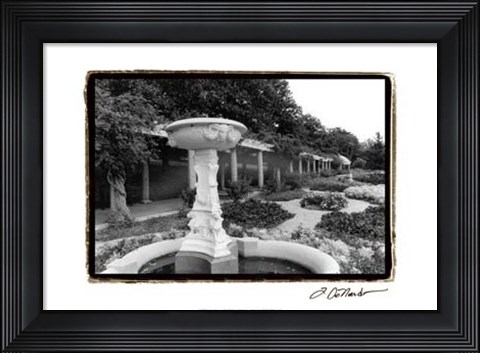 Framed Garden Elegance II Print