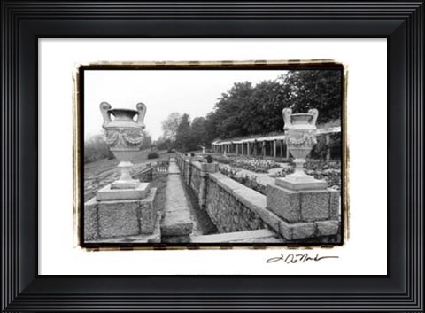 Framed Garden Elegance III Print