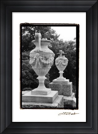 Framed Garden Elegance IV Print