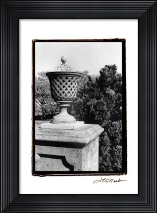 Framed Garden Elegance VI Print