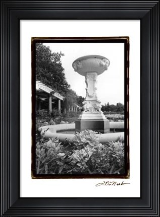 Framed Garden Elegance VII Print