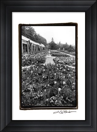 Framed Garden Elegance VIII Print