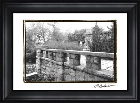 Framed Garden Grace I Print