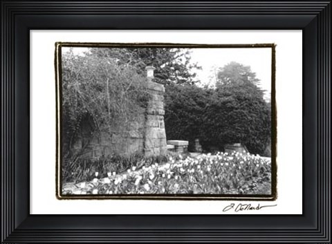 Framed Garden Grace II Print