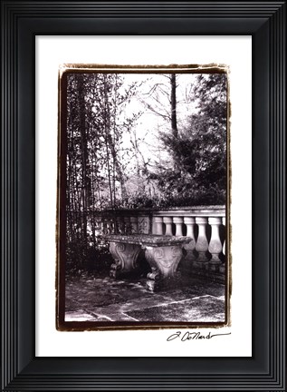 Framed Garden Grace III Print