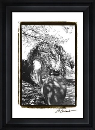 Framed Garden Grace IV Print