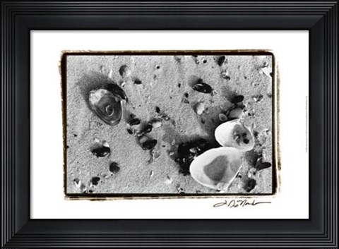 Framed Sand Treasures I Print