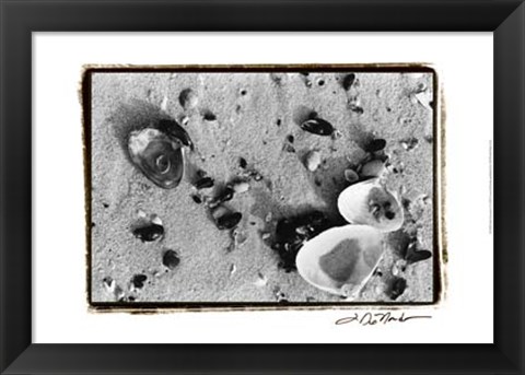 Framed Sand Treasures I Print