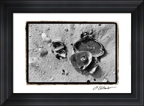 Framed Sand Treasures II Print