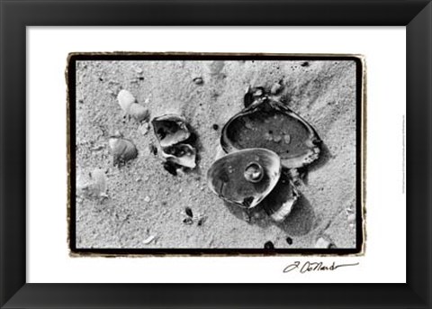 Framed Sand Treasures II Print