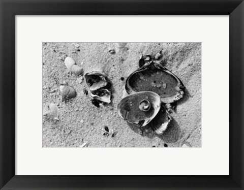 Framed Sand Treasures II Print
