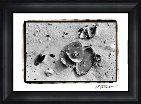 Framed Sand Treasures III Print