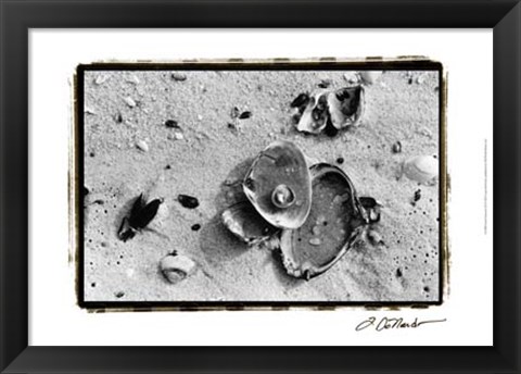 Framed Sand Treasures III Print