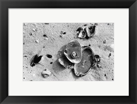 Framed Sand Treasures III Print