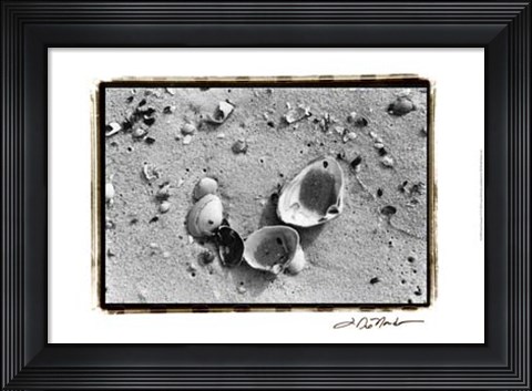 Framed Sand Treasures IV Print