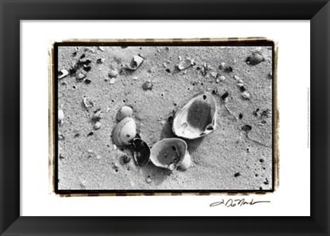 Framed Sand Treasures IV Print