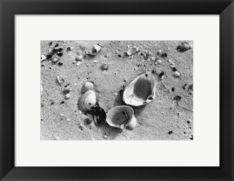 Framed Sand Treasures IV Print
