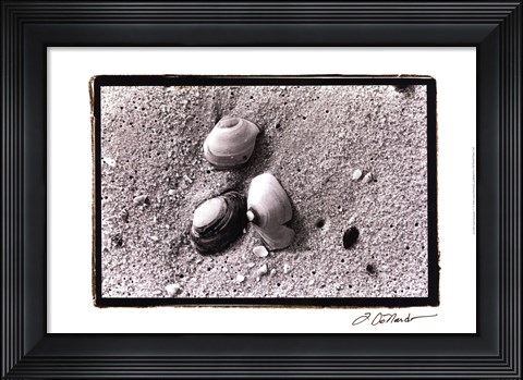 Framed Sand Treasures V Print