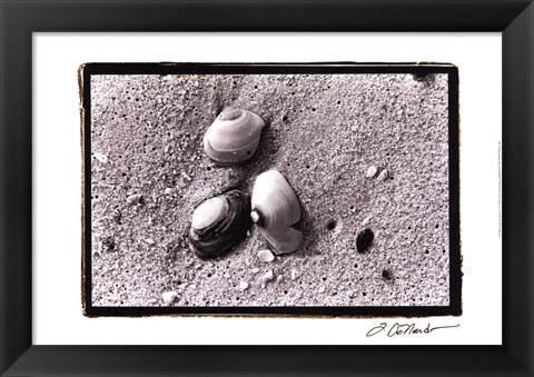 Framed Sand Treasures V Print
