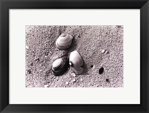 Framed Sand Treasures V Print