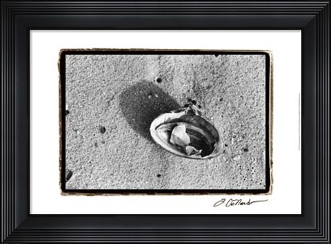 Framed Sand Treasures VI Print