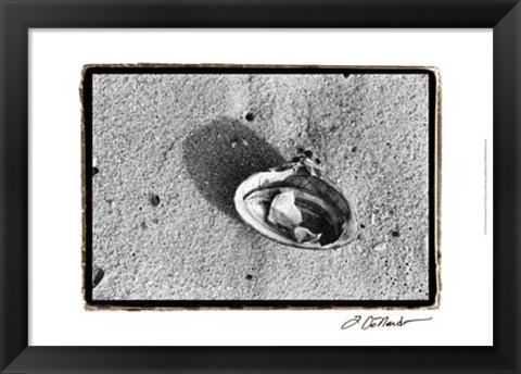 Framed Sand Treasures VI Print