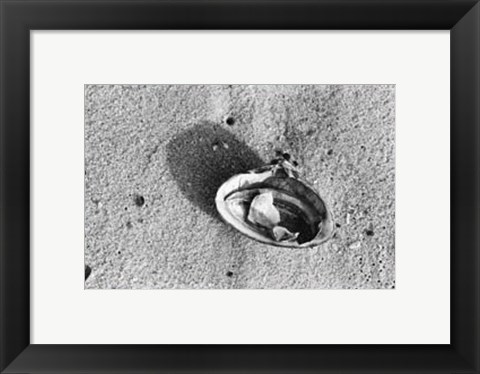 Framed Sand Treasures VI Print