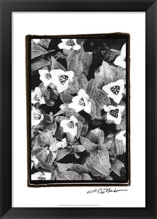 Framed Springtime Garden I Print