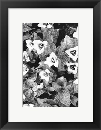 Framed Springtime Garden I Print