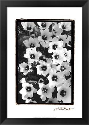 Framed Springtime Garden II Print