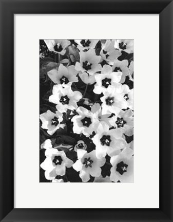 Framed Springtime Garden II Print