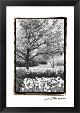 Framed Springtime Garden III Print