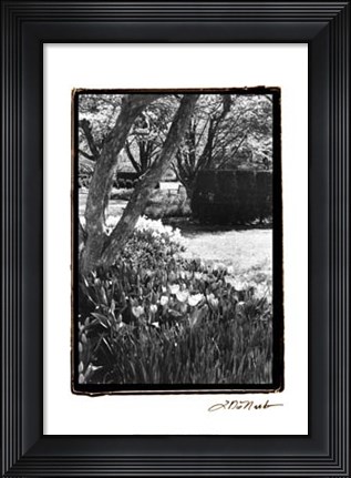 Framed Springtime Garden IV Print
